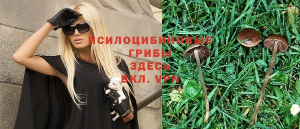 apvp Горняк