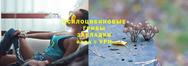 не бодяженный Горно-Алтайск