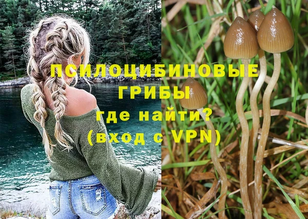MDMA Premium VHQ Горнозаводск