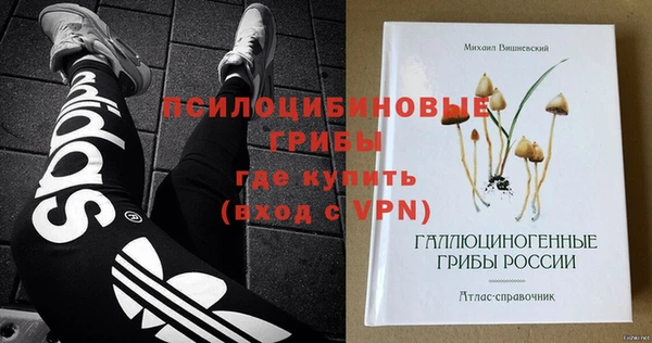 apvp Горняк