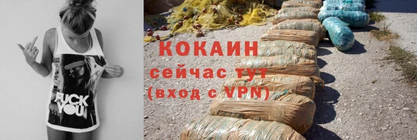 apvp Горняк