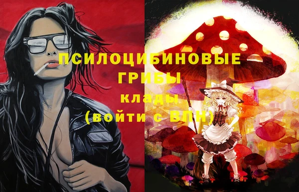 не бодяженный Горно-Алтайск