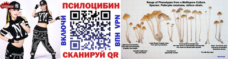 darknet клад Заречный Галлюциногенные грибы мицелий