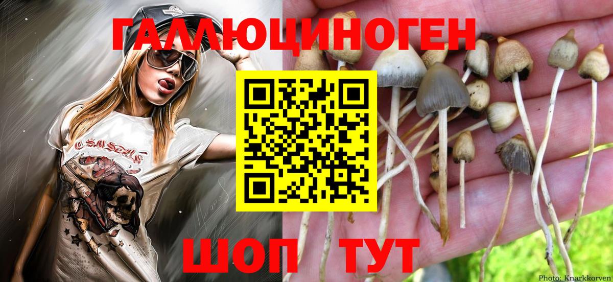 Псилоцибиновые грибы ЛСД  Псилоцибиновые грибы прущие грибы  Вход с VPN  Заречный 
